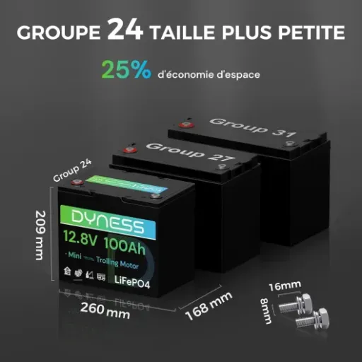 Avis Dyness Batterie Lithium 12V 100Ah LiFePO4 Mini : une 100Ah compacte pour solaire, camping-car et bateau