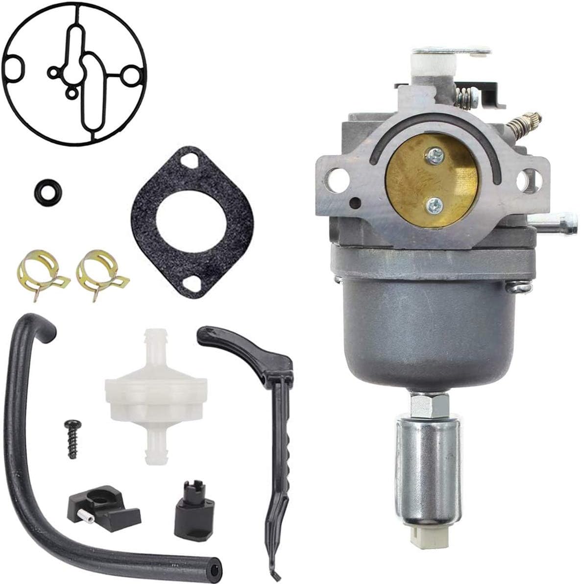 ZAMDOE Carburateur pour Moteurs Briggs & Stratton 287707 287776 287777 310707 310777 698620 690194 791886 799727 496796 499153 695412 792768 Remplacement du carburateur