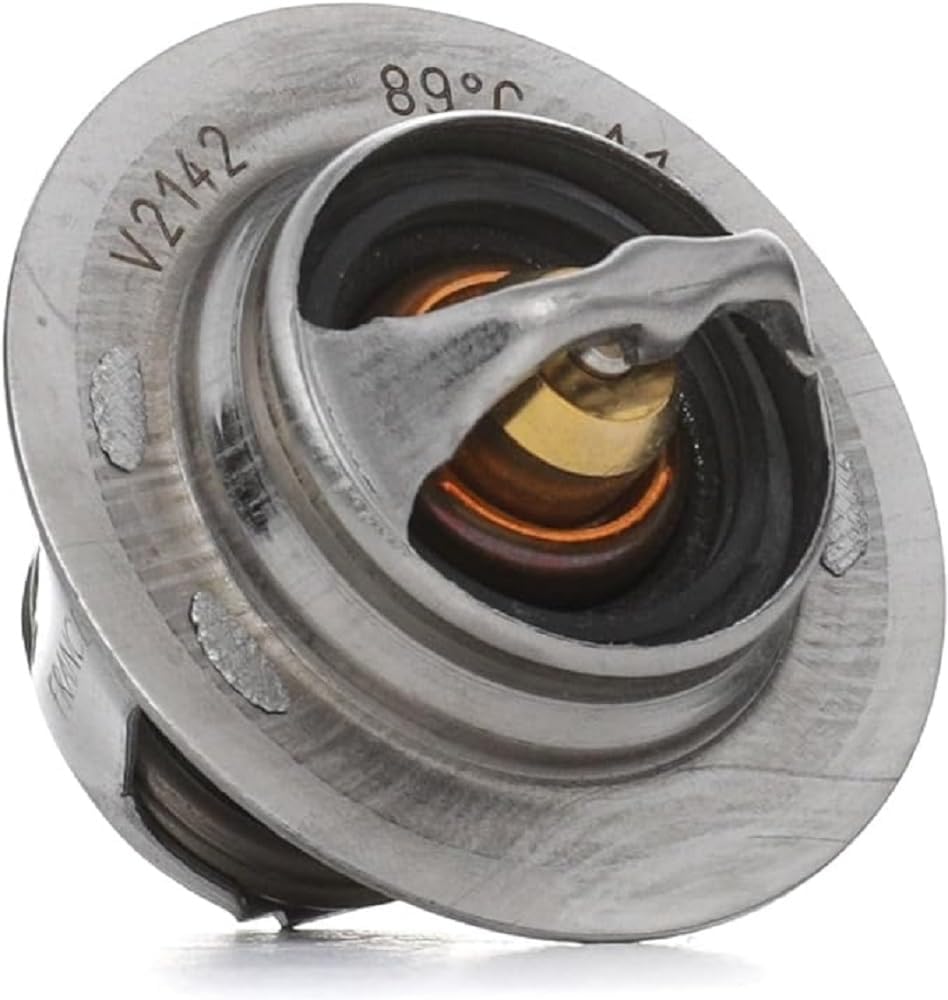 820025 Thermostat d'eau