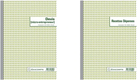 13148E Un Devis Auto Entrepreneur 50 feuillets Dupli autocopiant, 29.7 x 21 cm & Réf - 13500E - 1 Manifold Recettes dépenses 29,7x21cm 50 feuillets dupli autocopiants