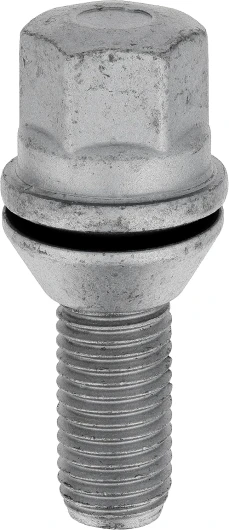 Restagraf - Vis de Roue Jante Aluminium - Idéal pour Véhicules Dacia Renault - Réf - 221454 - Blister de 1, Gris