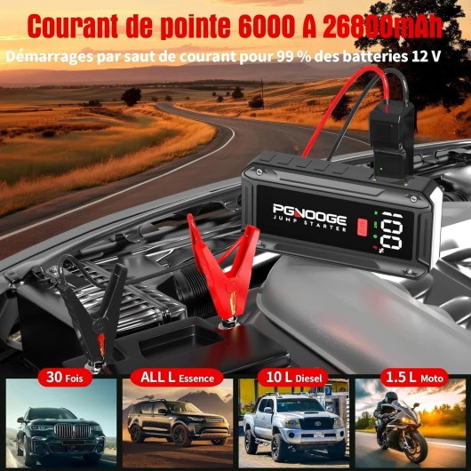 81cvDCQsWQL._AC_SL1500_