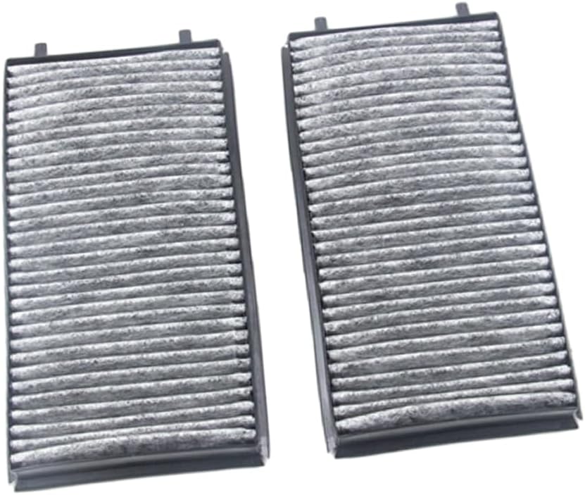 RAGBUSCLE Filtre à air d'habitacle, compatible avec BMW ALPINA B7 (E65) 2003 2004 2005 2006 2007 2008, remplace 64116921019, 2 pièces