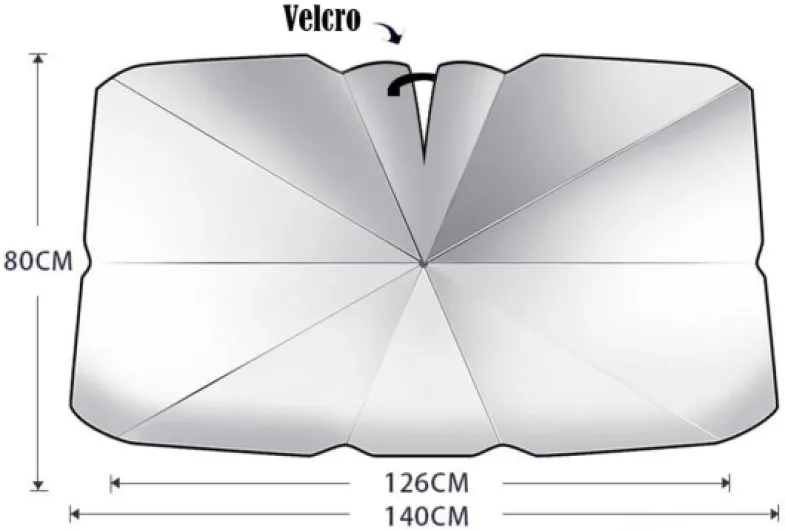 51-B2gyyUqL._AC_SL1000_
