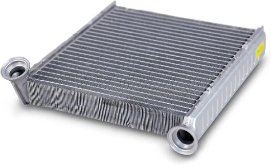 81bEyzJYhBL._AC_SL1500_