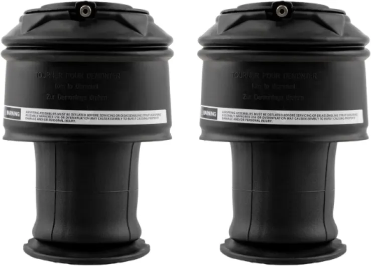 2x Amortisseurs Suspension Pneumatique Arrière 5102R8 5102Gn 9681946080 F307512401 pour Citroën C3/C4/Picasso