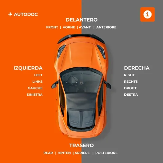 61qt y5h5CL._AC_SL1200_