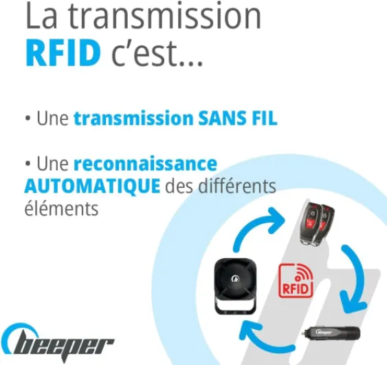 51orXNAgTqL._AC_SL1000_