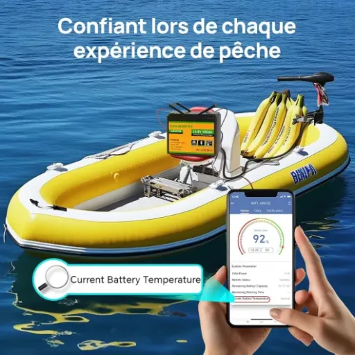 Test ECO-WORTHY 12V 100Ah Bluetooth : la batterie lithium qui simplifie la vie en camping-car