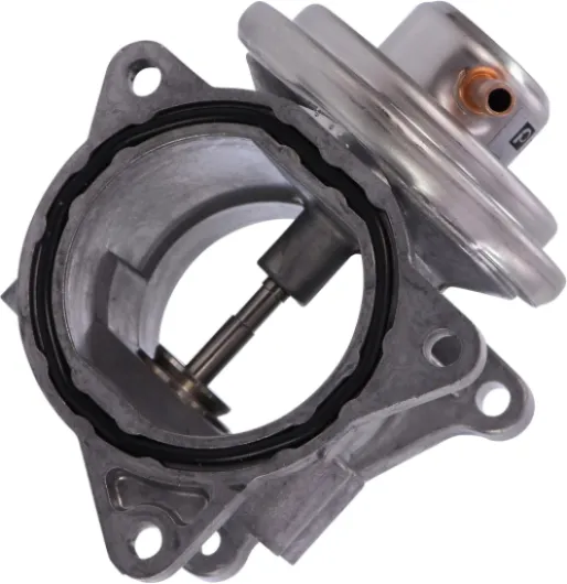 71t Dx4R1oL._AC_SL1500_